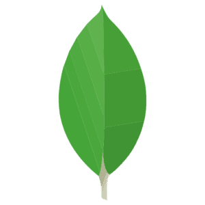 MongoDB